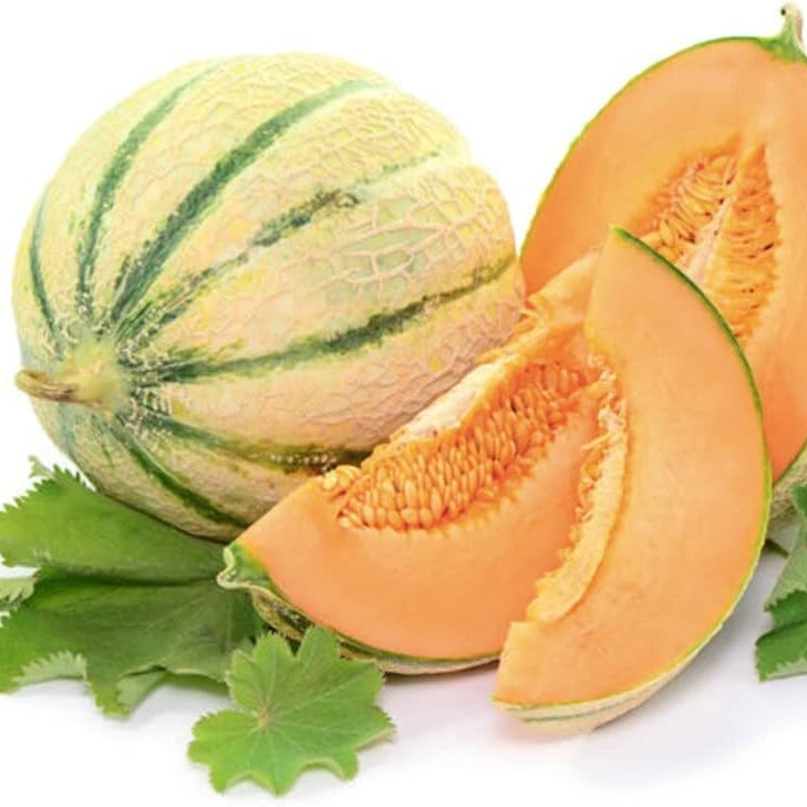 honeydew melon cucumis melo fruit in seeds