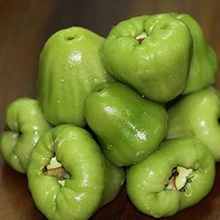 Green Rose Apple Fruit Seeds