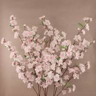 Pink Blossom Flower Flower Seeds - Heirloom Non GMO High Germination Organic Garden Planting Seeds