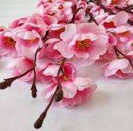 Pink Cherry Blossom Flower Seeds Rare Blooming Plants Balcony and Patio Gardening Colorful Seeds for Planting - Heirloom