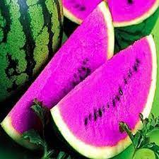 pink watermelon fruit for planting ideal Fruit Seeds