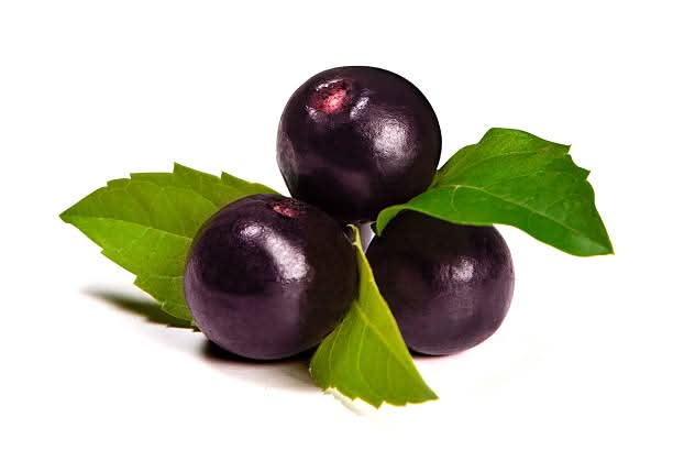 Acai Fruit For Growing Nutrient Rich Berries For Home Planting Premium Fruit Seeds