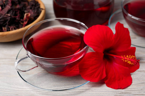 Red Dark Hibiscus Flower Seeds