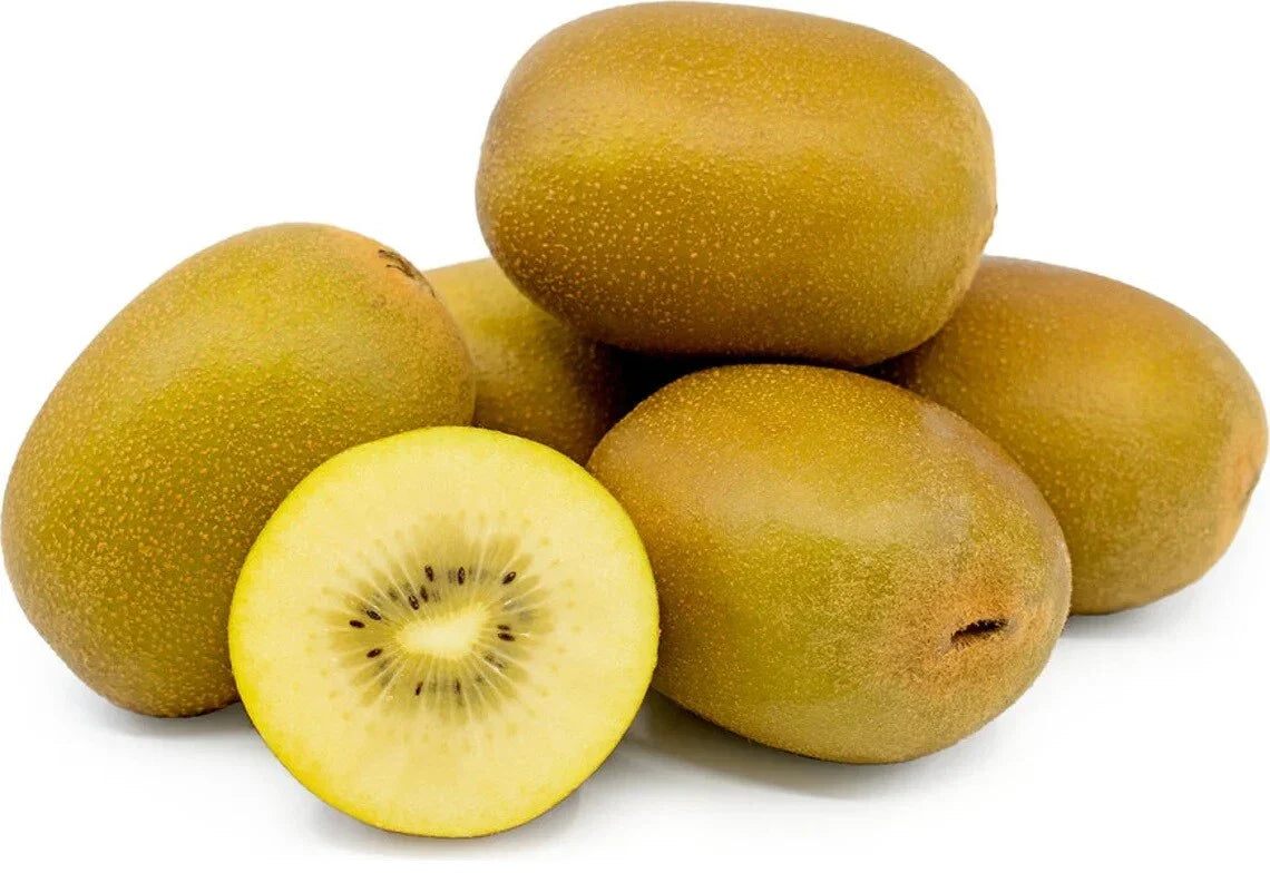 kiwi fruit all type of golden yellow red green gooseberry high organic Fruit Seeds organic garden seeds