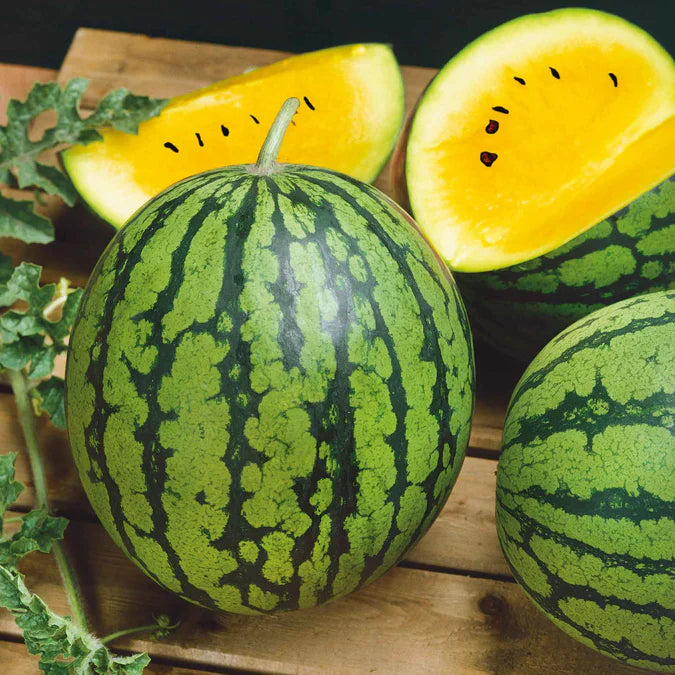 Light Yellow Watermelon Easy To Fruit Seeds