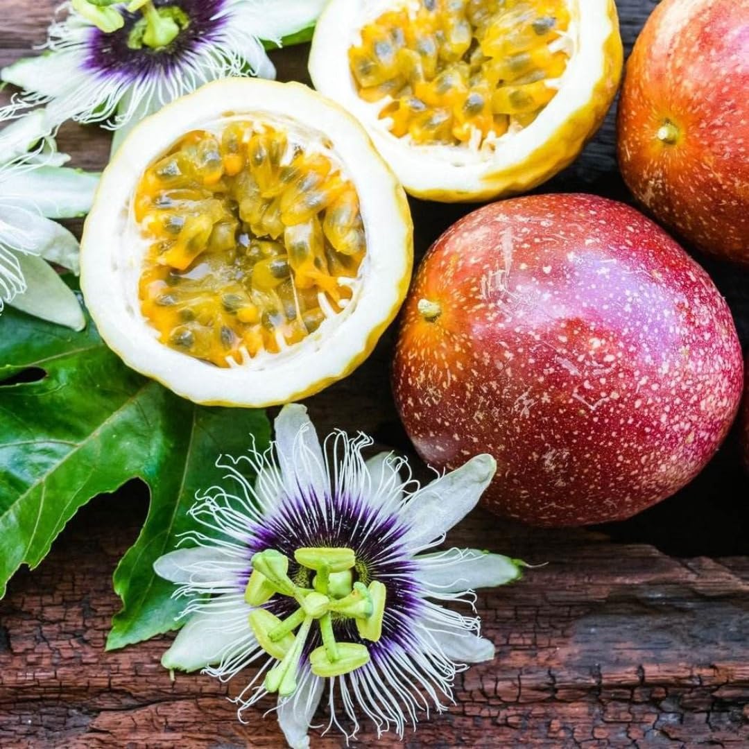 Passion Dark Red Variety Tropical Fruit Seeds