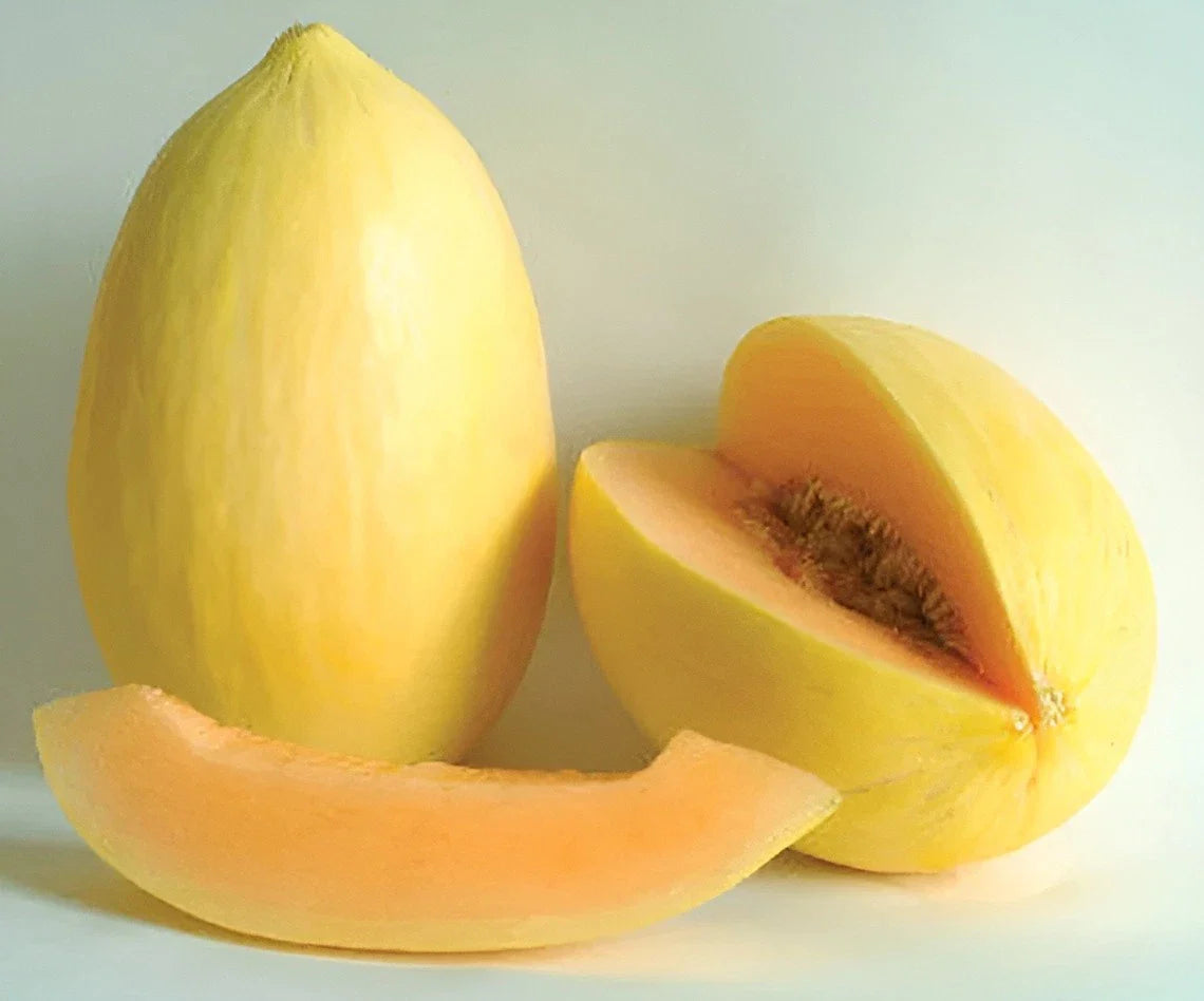crenshaw melon tropical notes honey sweet high organic Fruit Seeds organic garden seeds
