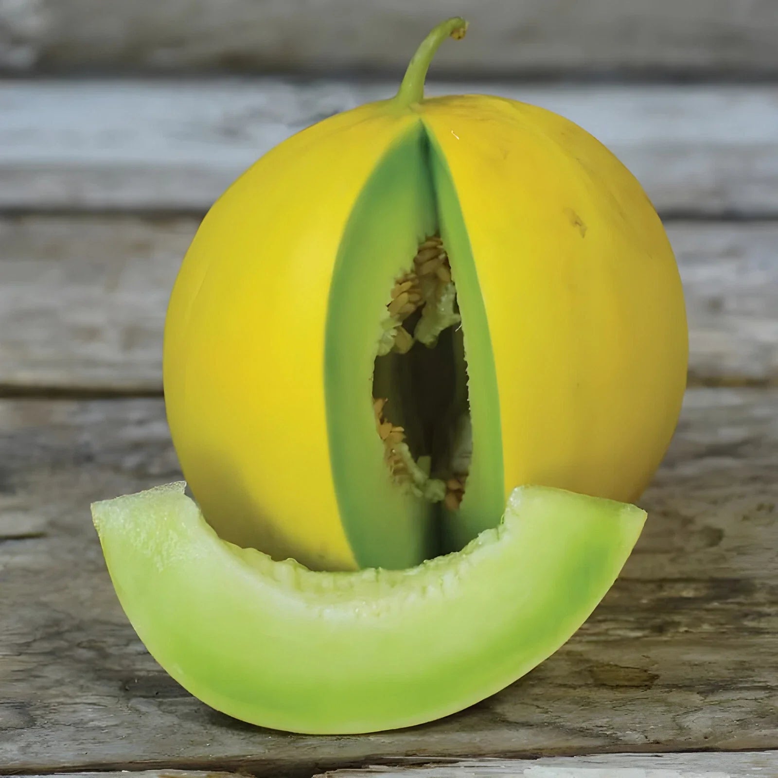 golden honeymoon melon super sweet yellow rind green flesh high organic Fruit Seeds organic garden seeds