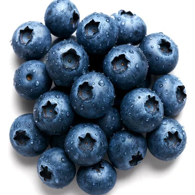 European Blueberry Bilberry Rare Autumn Low Bush Sweet