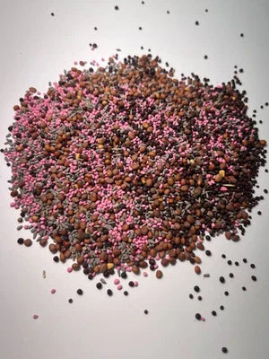 Lbs Redleaf Ridge Brassica Food Plot Clover Chicory Rape Radish Turnips
