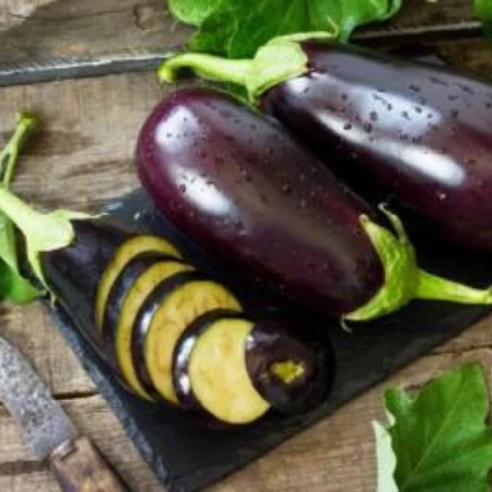 Black Beauty Eggplant Fresh Heirloom Planting Free Planting Wevery Garden Order Non Gmo for kitchen garden planting