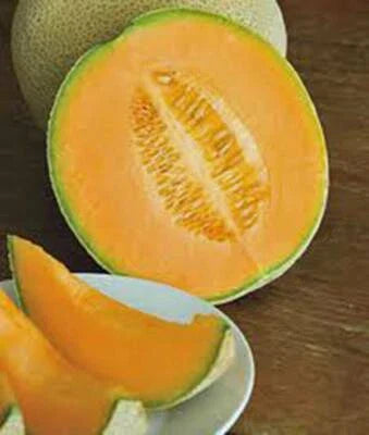 Cantaloupe Hales Best Jumbo Melon Flower Seeds Home Planting