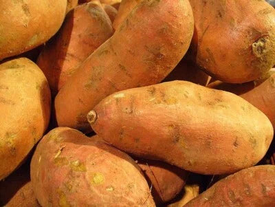 Sweet Potatoes Usda Certified