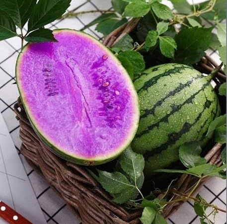 Violet Watermelon Unique With Spots Fruit Seeds