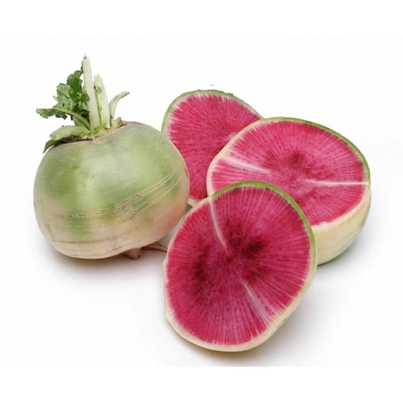 watermelon radish fruit for planting green crisp and nutritious heilroom Fruit seeds